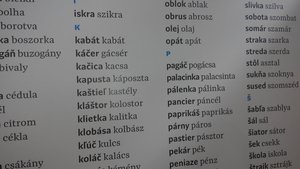 Szlovák-magyar közös szókincs