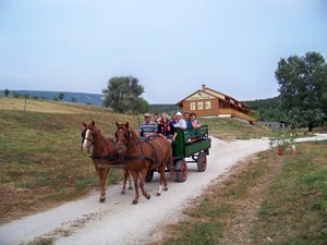 Kelemen majorság, Piliscsév