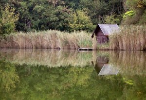 Vörösvár: városliget a bányatóból