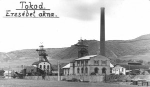 Tokod: szénbánya eladó! 
