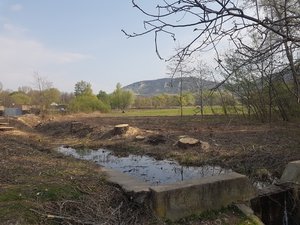 Csurgó: kivágták a veszélyes fákat