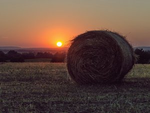 Őstermelőknek, gazdáknak: tájékoztató a jövő évi támogatásokról