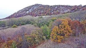 Kesztölci Digitális Hírnök