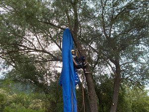 DSCN4712.JPG