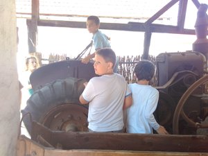 IMG_20160608_103445.jpg