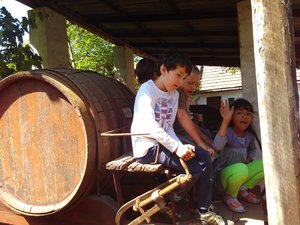 IMG_20160608_104107.jpg