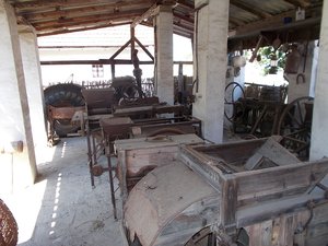 DSCN5151.JPG