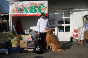 IMG_0254.JPG