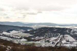 DSC_0264.JPG