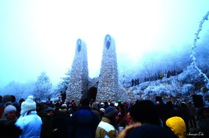 DSC02812.jpg