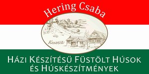 Hering Csaba TÁBLA.jpg