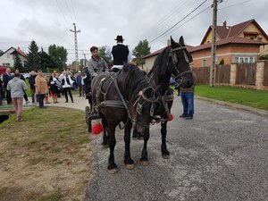 A lovaskocsi, két büszke pacival