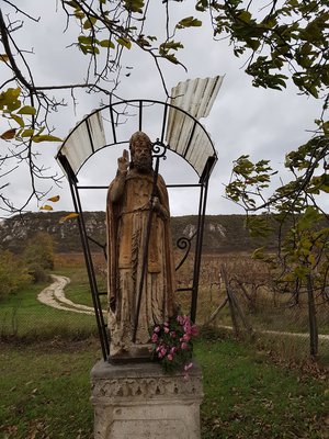 20171029_155555.jpg