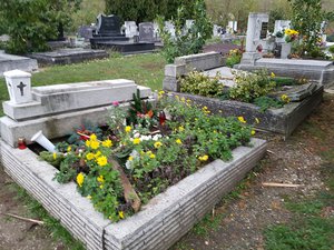 20171029_160207.jpg