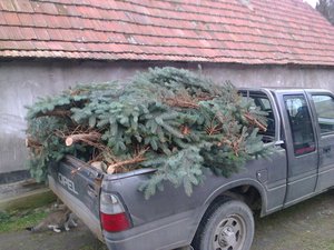 Bogdán Évihez viszik a felaprított fát