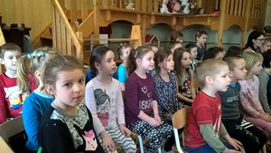 WP_20180319_08_48_25_Pro.jpg