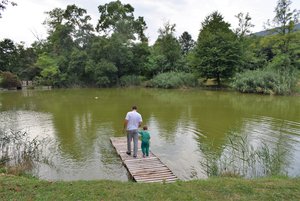 DSC_0942.JPG
