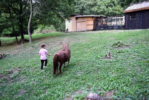 DSC_1015.JPG