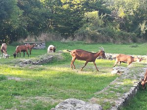IMG_20180913_165415.jpg
