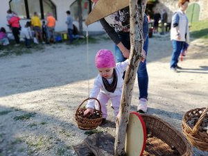 Z-IMG_20190416_163725.jpg