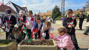 kesztolcmarc15 (16).jpg