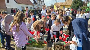 kesztolcmarc15 (25).jpg