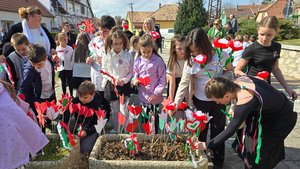 kesztolcmarc15 (26).jpg