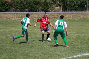 IMG_7882-2.jpg