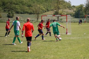 IMG_7950.JPG