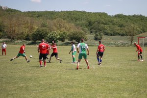 IMG_7963.JPG