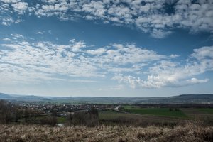 DSC_8859.jpg